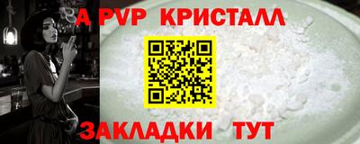 стаф Кинель