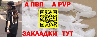 стаф Кинель