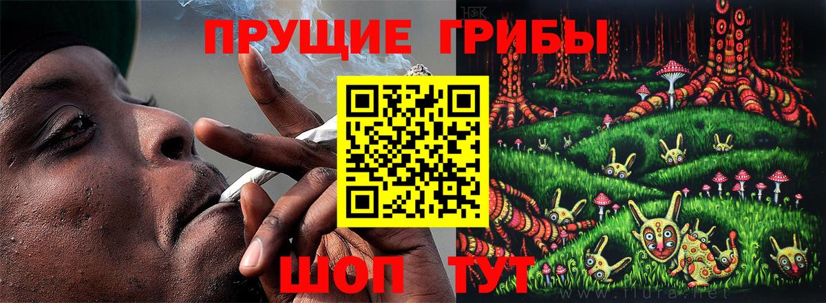 что такое наркотик  Псилоцибиновые грибы GOLDEN TEACHER  Вход с VPN  Кудымкар 