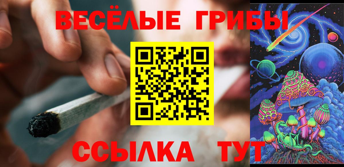 Галлюциногенные грибы GOLDEN TEACHER Кудымкар